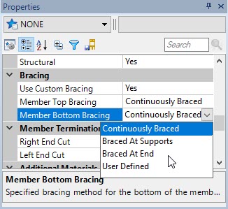 custom-bracing.jpg